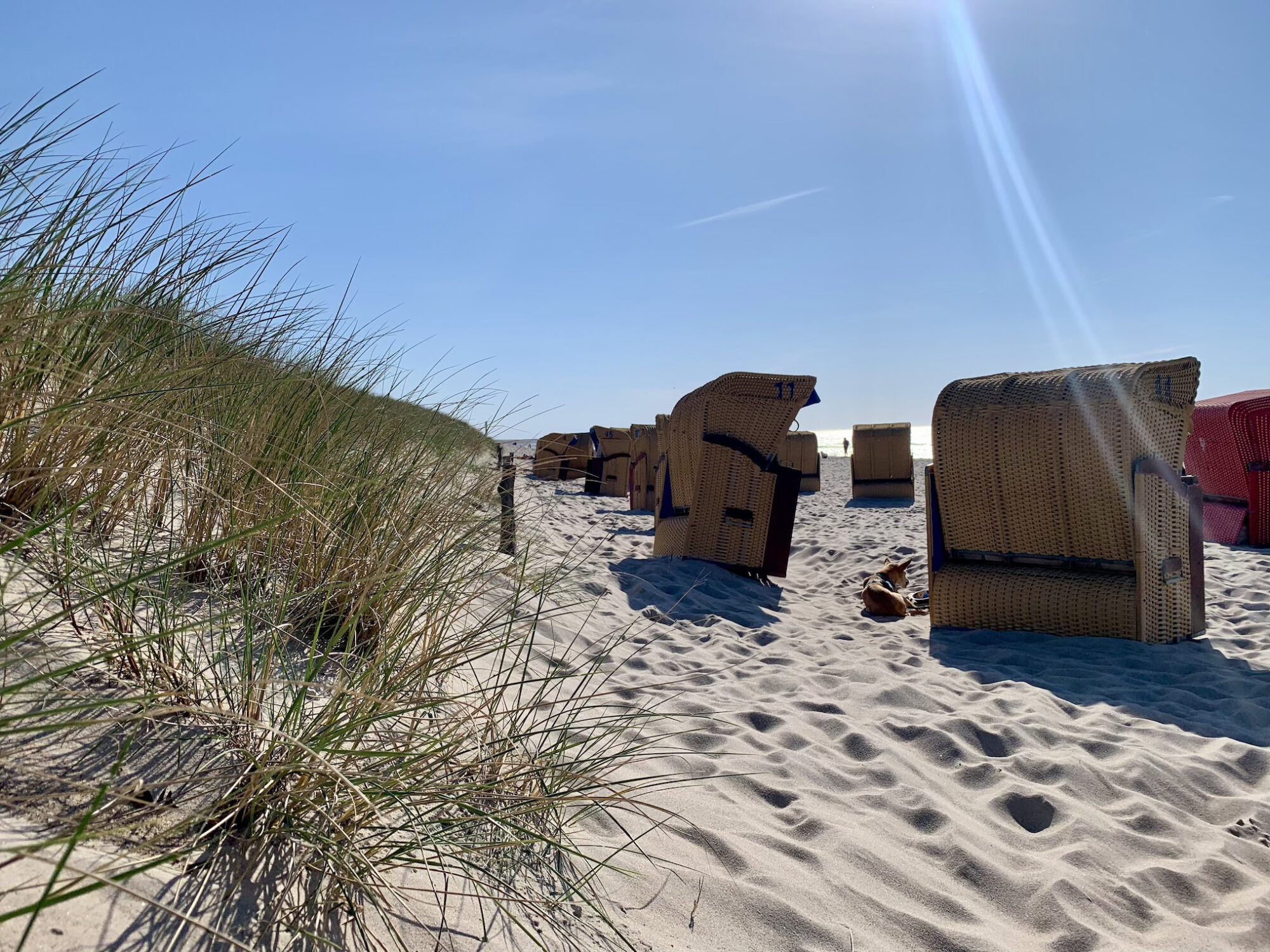 Sonniger Sandstrand mit Strandkörben und Dünen im Vordergrund, perfekt für plattdeutsche Veranstaltungen und gemütliche Treffen in maritimer Atmosphäre.